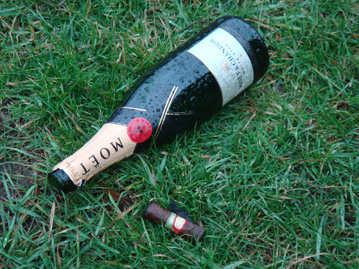 Moet bottle and cork in the grass of Boston Common